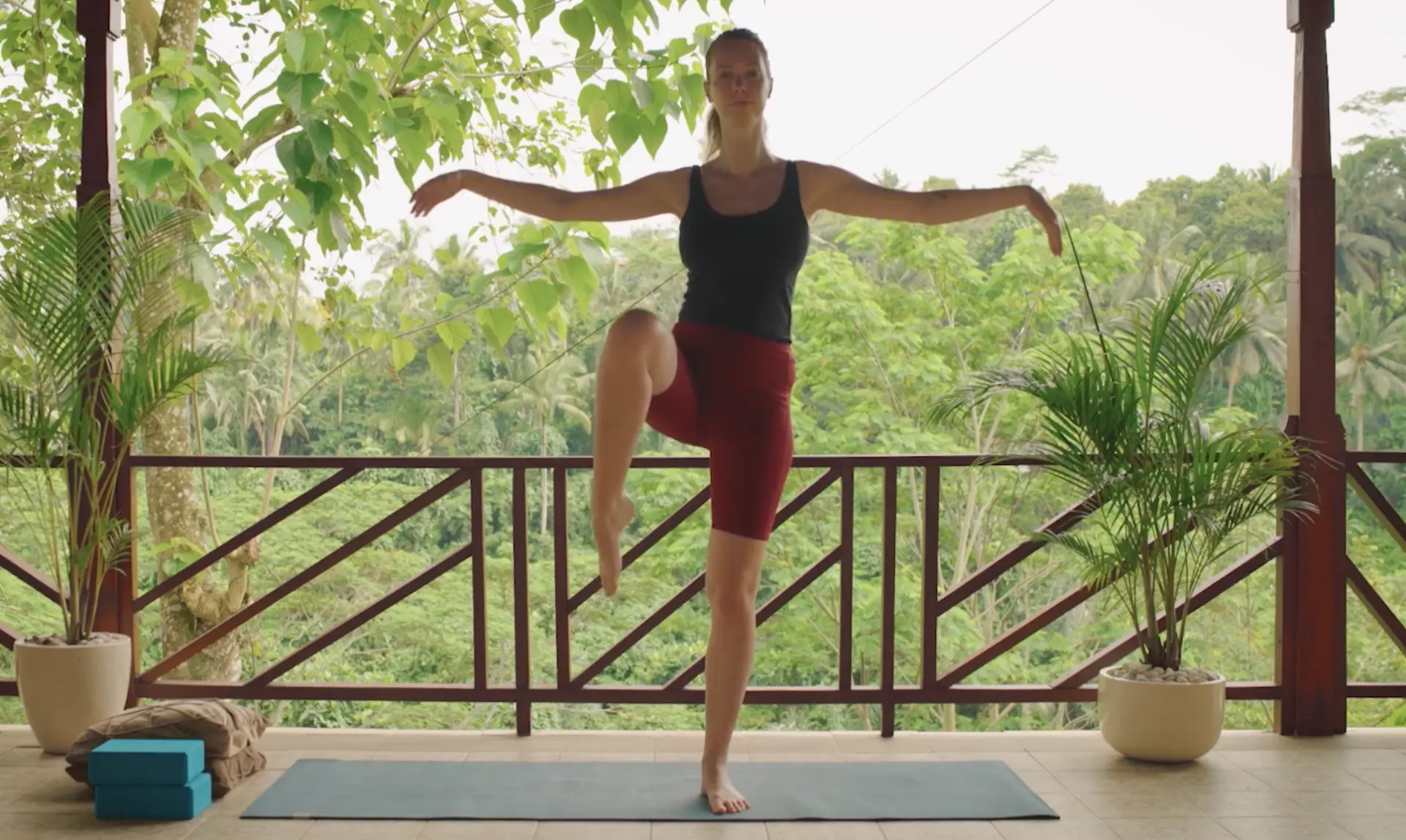 Week 05: Animal poses postpartum yoga practice