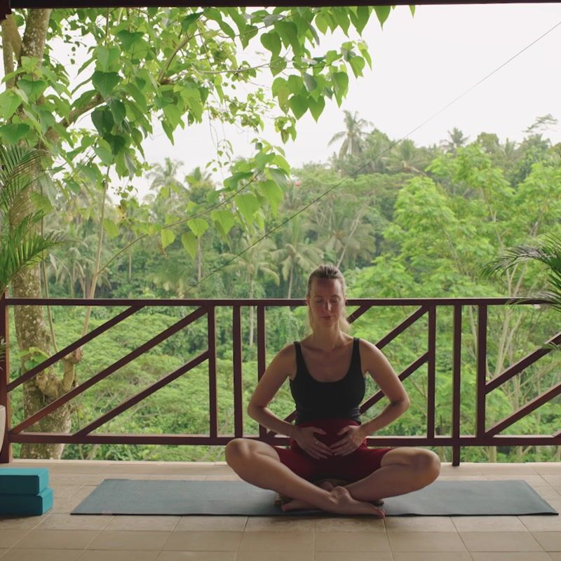 Week 05: Animal poses postpartum yoga practice